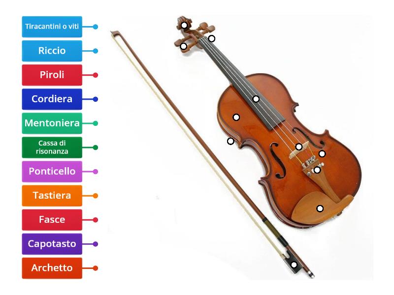 Il violino e le sue parti prof. Marilisa Labelled diagram