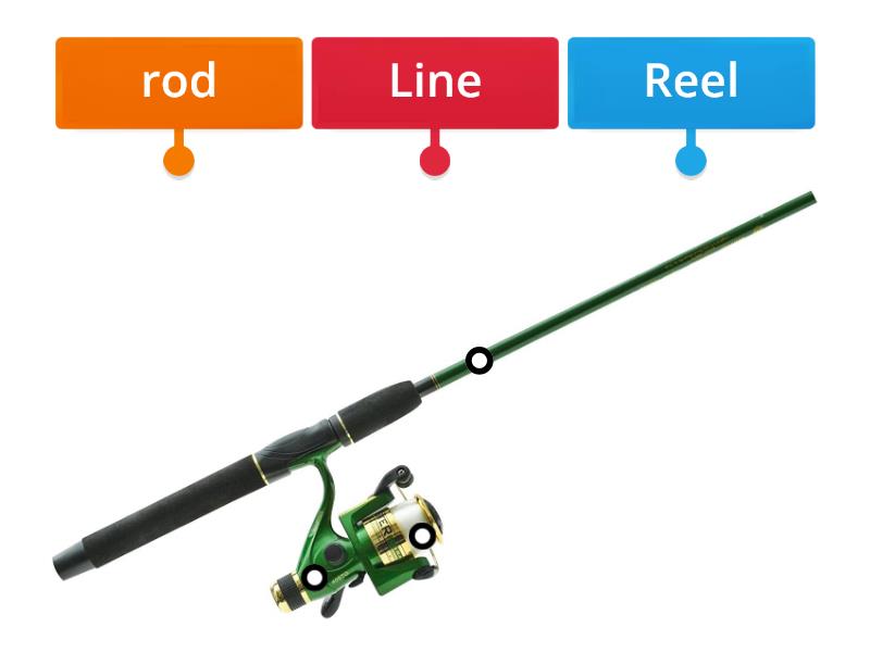 Fishing rod diagram - Labelled diagram