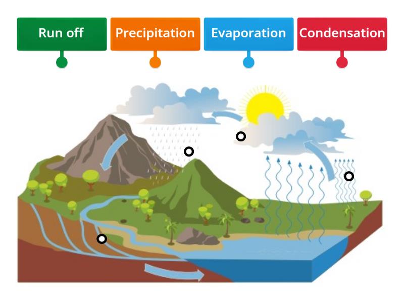 Water Cycle - Labelled diagram