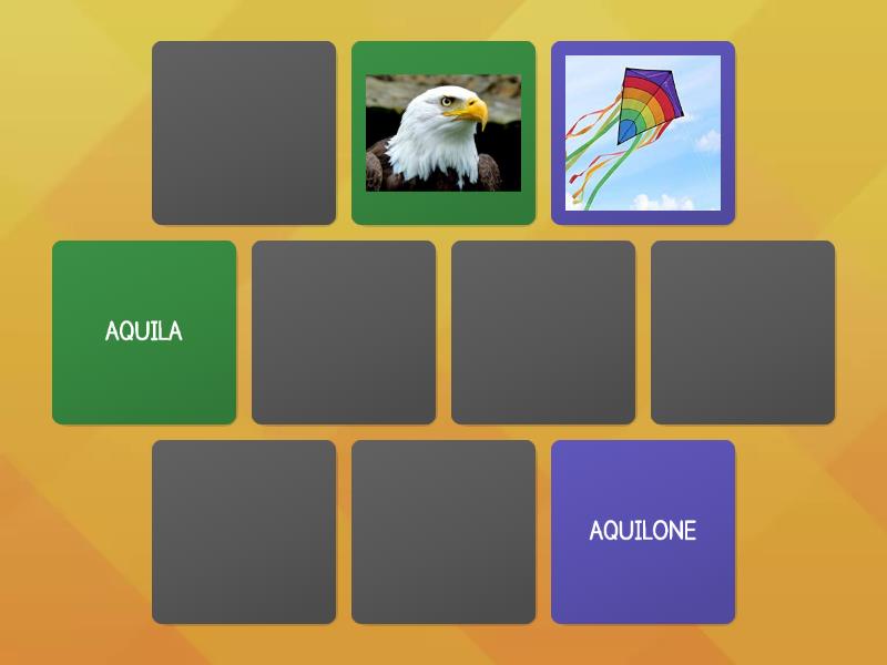 MEMORY QUA, QUE, QUI, QUO Matching pairs