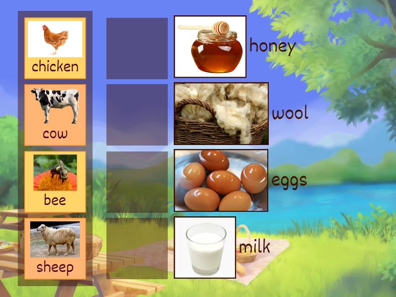 What animals give us Match up