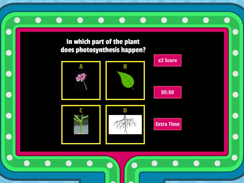 Photosynthesis quiz Gameshow quiz
