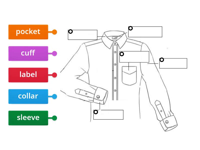 Parts of a shirt - Labelled diagram