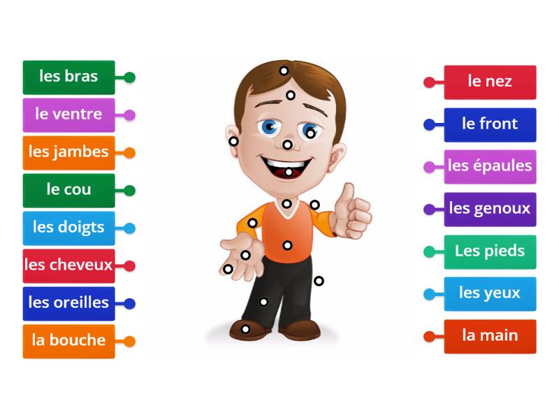 Les parties du corps Body Parts French JPIS Labelled diagram