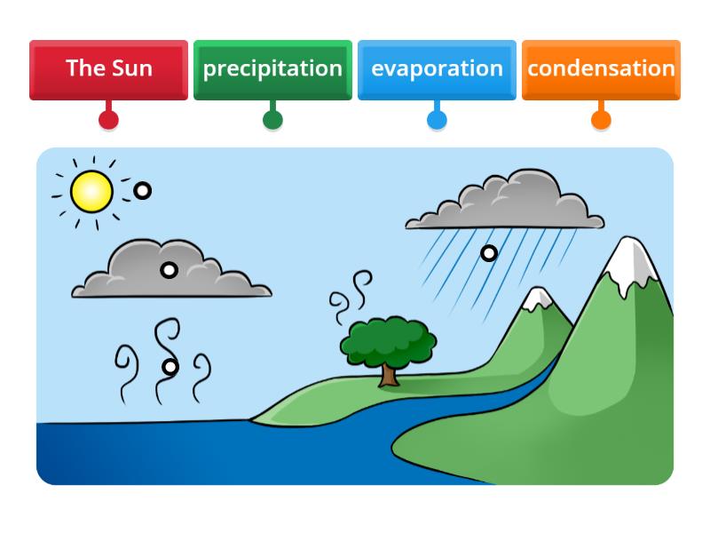 Water Cycle - Labelled diagram