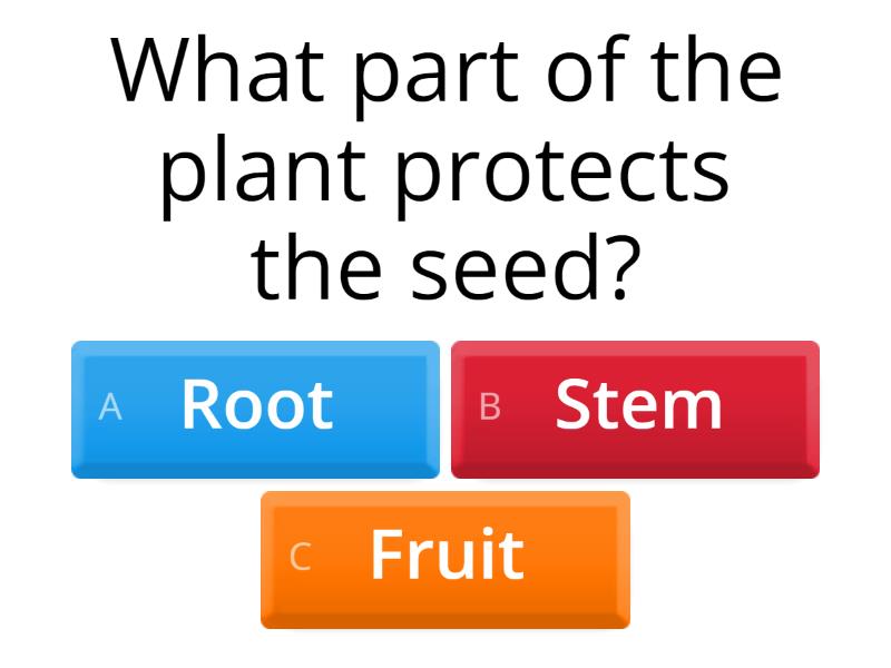 Parts of a Plant Quiz