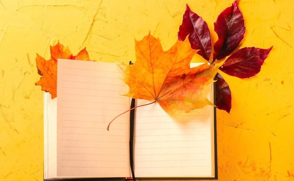 Concrete Poetry Form Shape Thoughts in Words (+ Example)