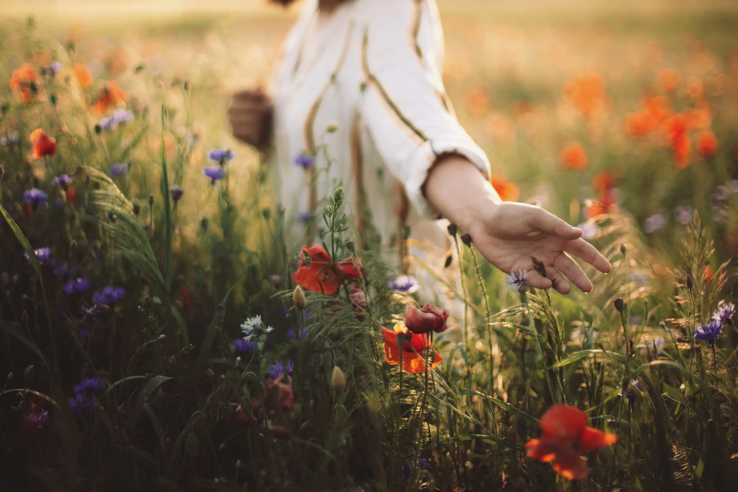 163 Meaningful Poems About Life (+ My 1 Favorite)