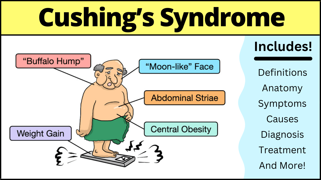 Cushing Syndrome Diagnosis and Treatment