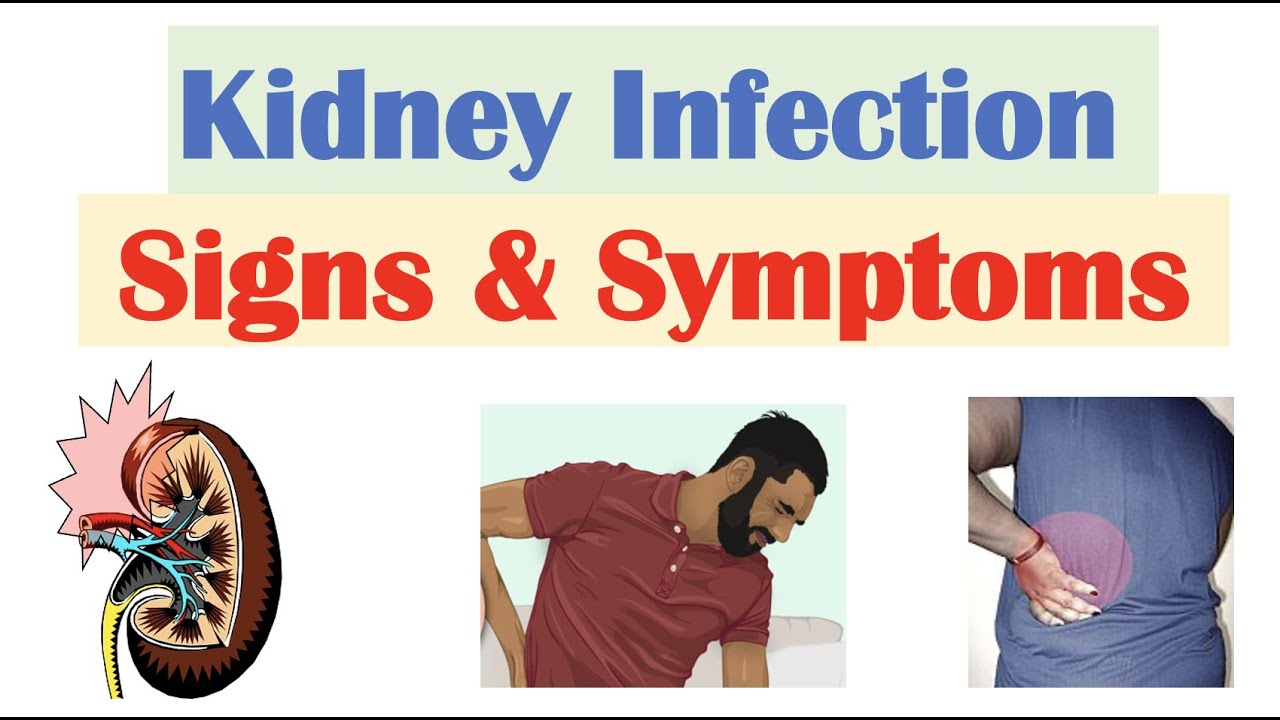 Kidney Infection Diagnosis and Treatment