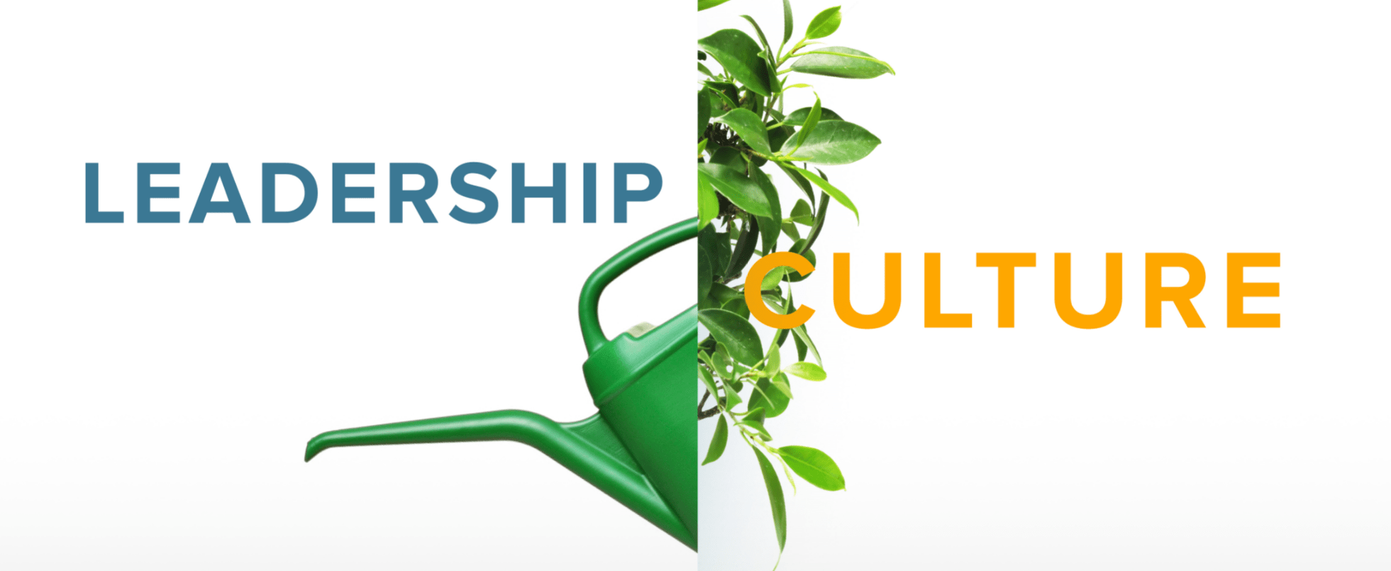 Culture The Overlooked Competitive Advantage Work Effects