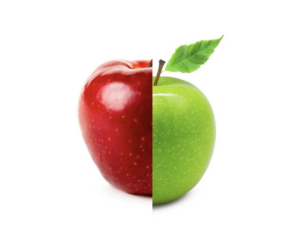 Strategy Culture Alignment & Purposeful Culture Work Effects