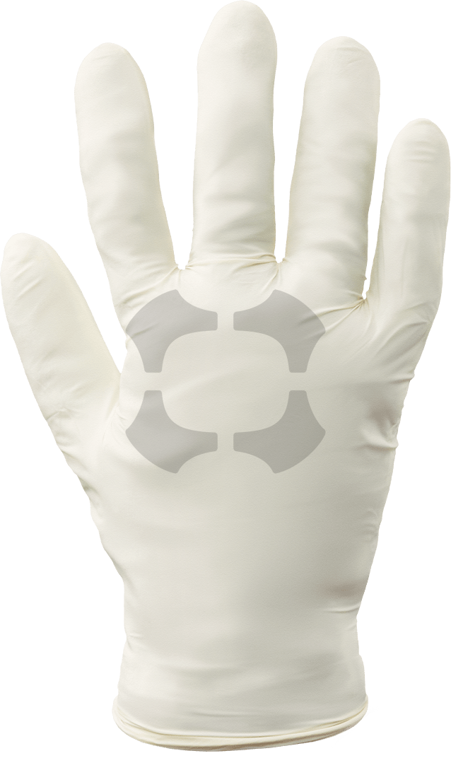 WorkArma Latex Powder Free Disposable Glove