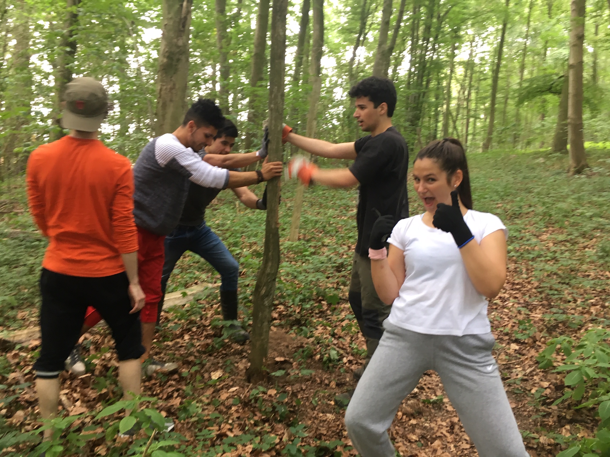 workcamp NiGWorkcamps