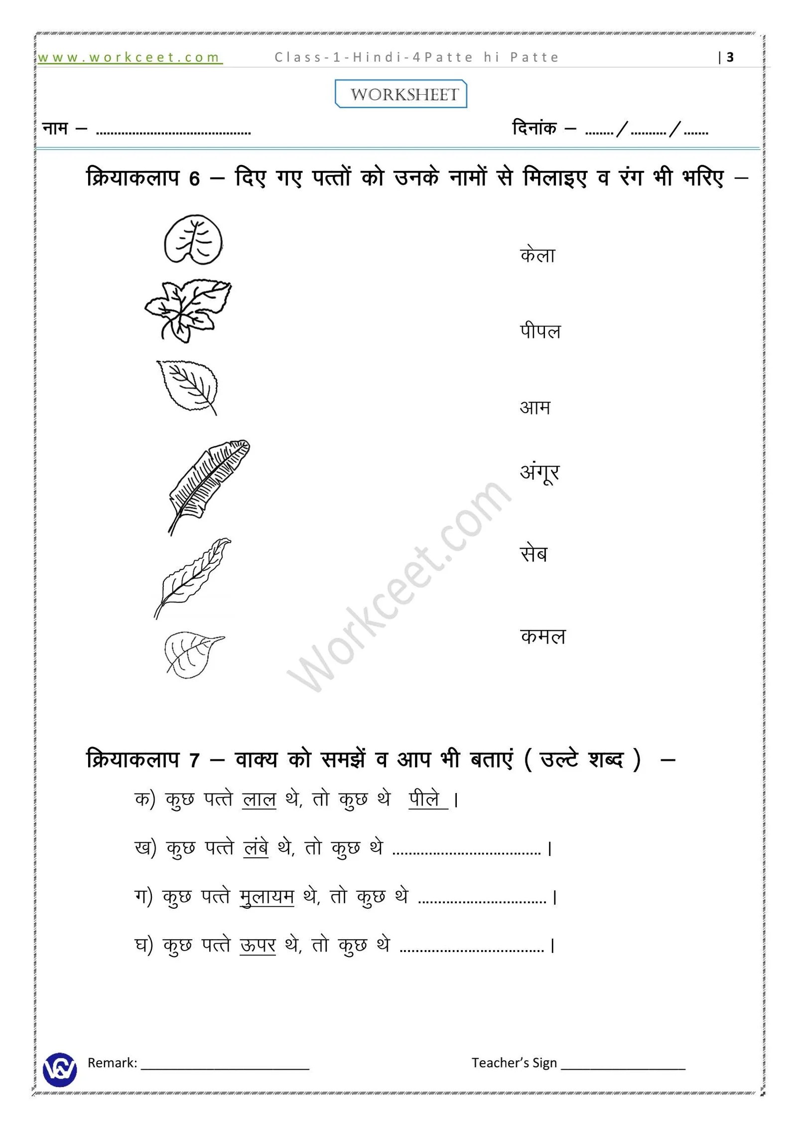 Class1stHindiPatte Hi Patte Worksheet ( पत्ते ही पत्ते ) NCERT/CBSE