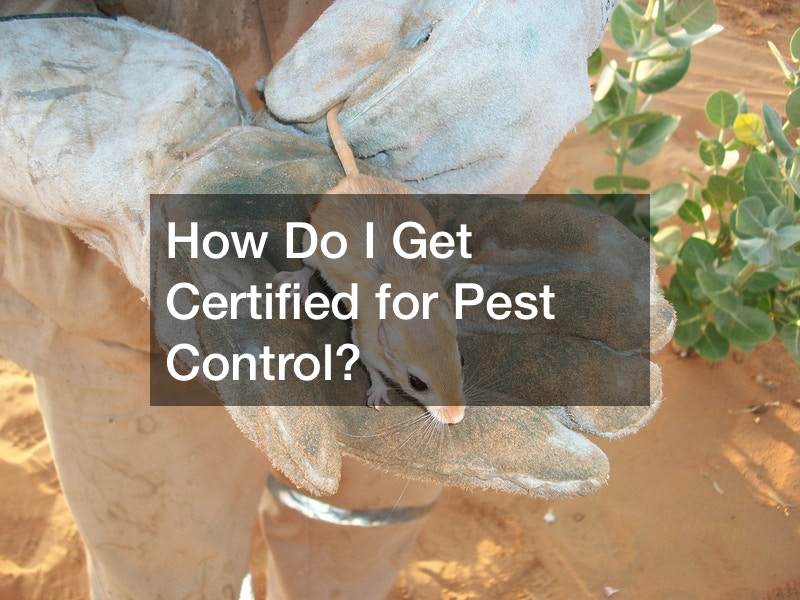 How Do I Get Certified for Pest Control?
