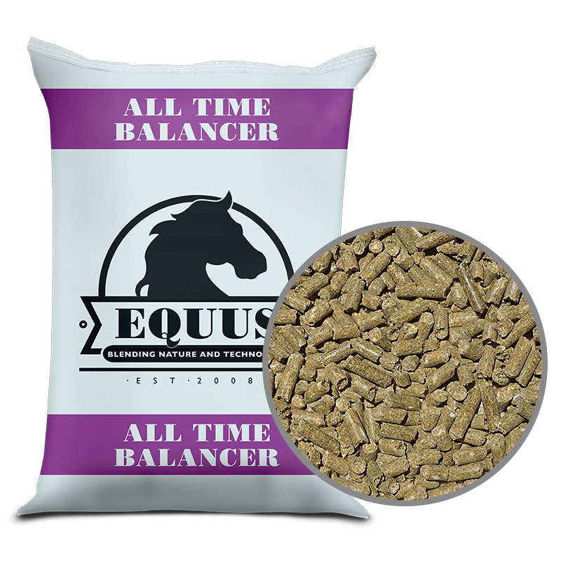 Equus All Time Balancer Work Horse Tack WHT Pets