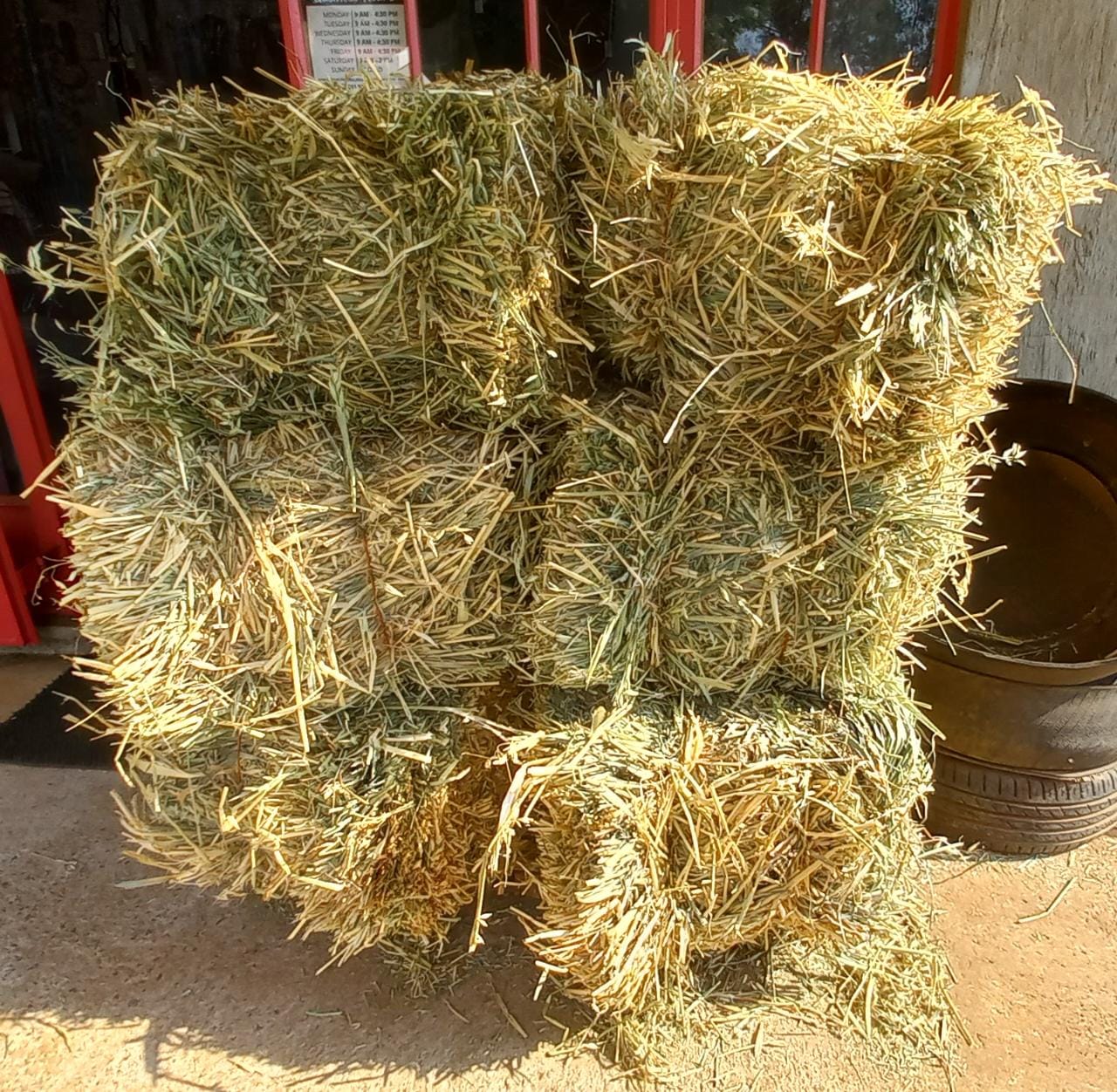 Oat Hay square bales (COLLECTION ONLY) Work Horse Tack WHT Pets