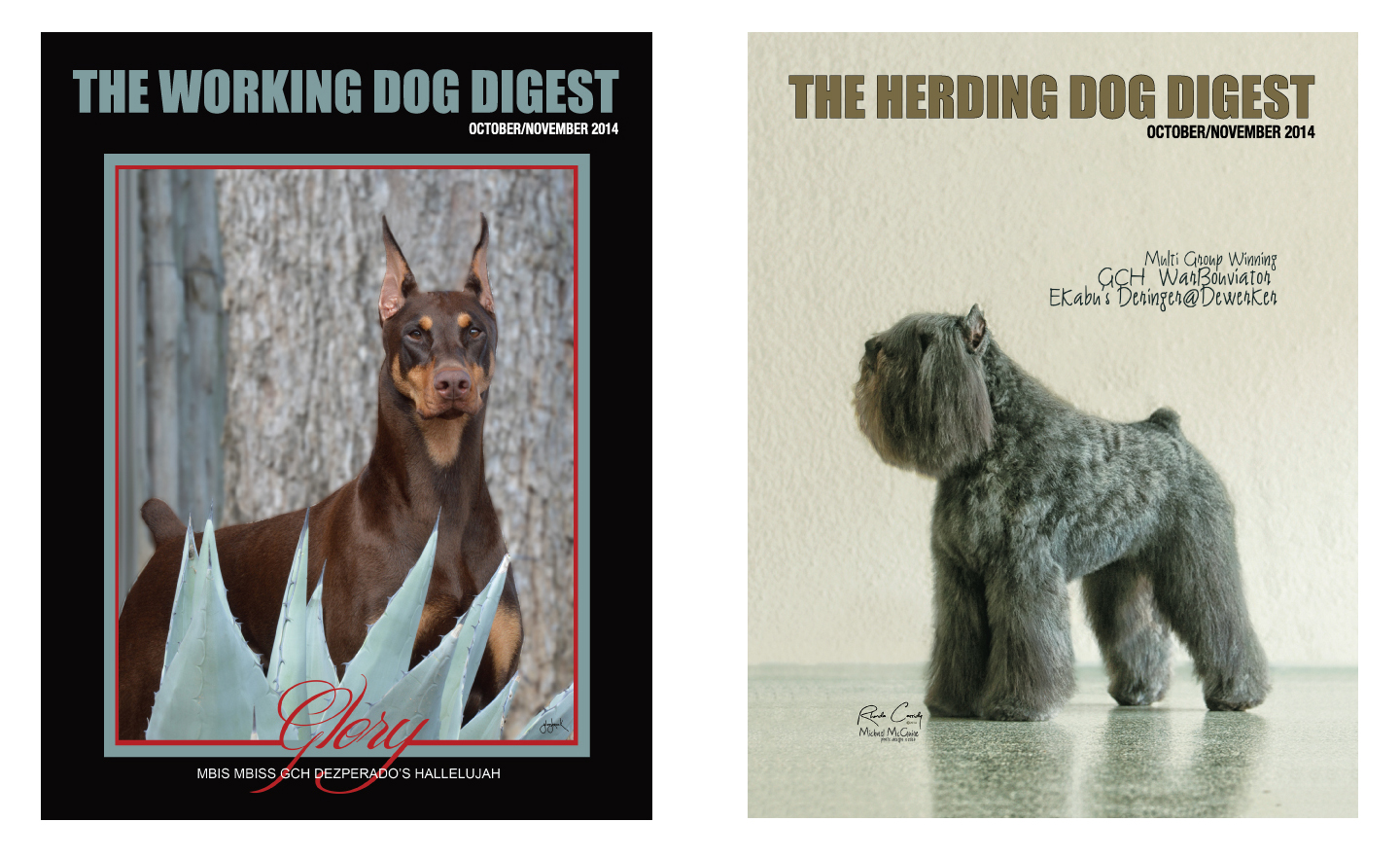 The Working/Herding Dog Digest We WORK for you!