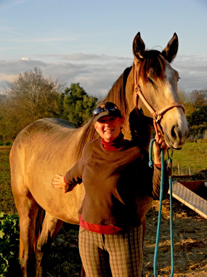 For Sale Working Equitation Florida