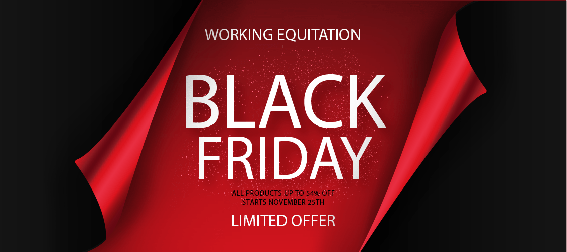 2022 BF Special Working Equitation Simplified