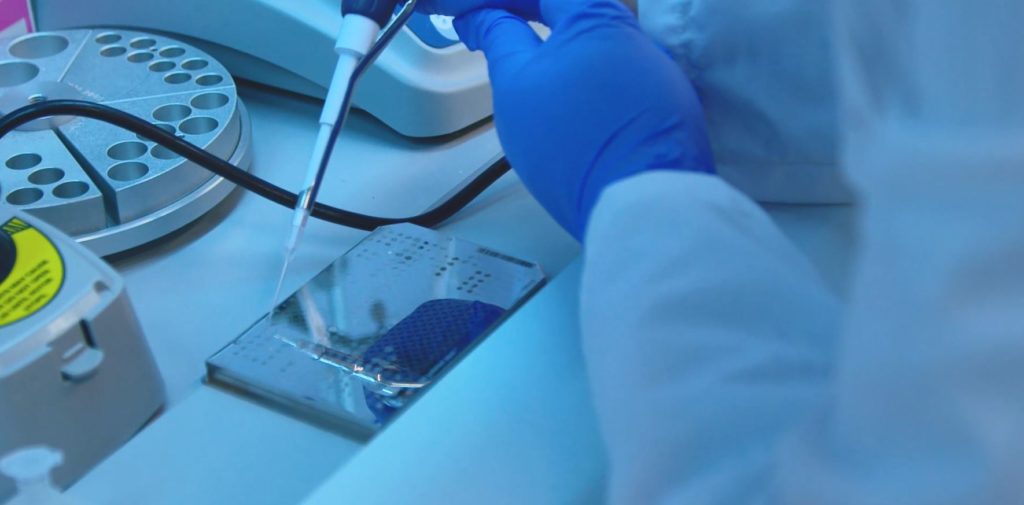 Sarepta CEO Doug Ingram on biotech's search for new talent WorkingNation