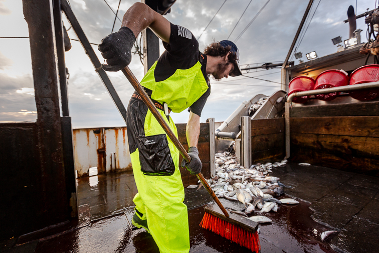 Fishing for talent An apprenticeship for the future of commercial