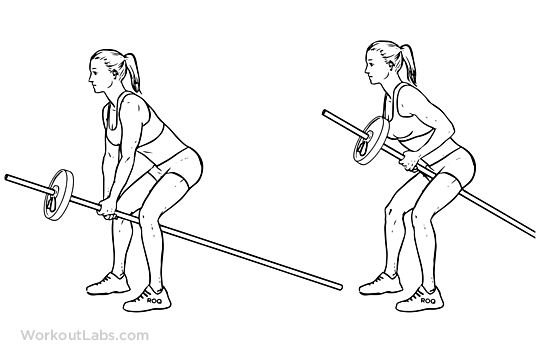 Bent Over TwoArm Long Barbell Row Illustrated Exercise guide