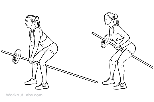 Bent Over TwoArm Long Barbell / TBar Rows WorkoutLabs