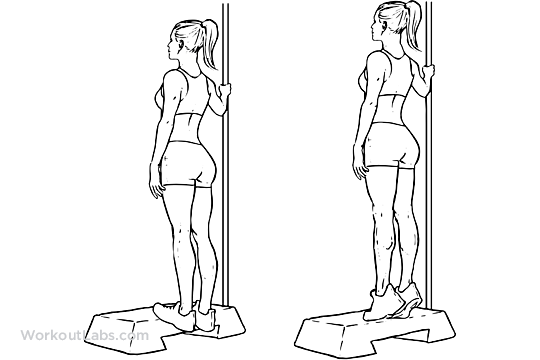 Bodyweight Calf Raises Illustrated Exercise guide WorkoutLabs