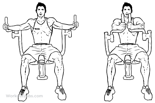 Butterfly / Pec Deck / Seated Machine Fly Illustrated Exercise guide