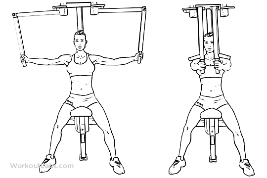 Butterflies / Pec Deck / Seated Machine Flyes WorkoutLabs