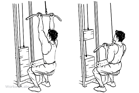Close Grip Lat Pulldowns / Pull Downs / Pullovers WorkoutLabs