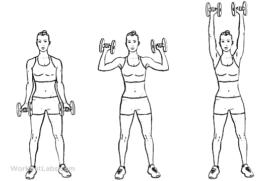 Dumbbell Biceps Curl to Shoulder Press WorkoutLabs