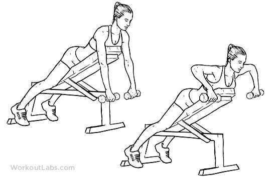 Dumbbell Incline Bench Row Illustrated Exercise guide WorkoutLabs