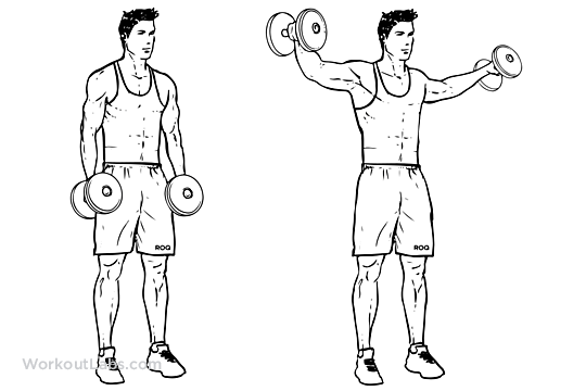 Dumbbell Lateral Raise / Power Partials Illustrated Exercise guide