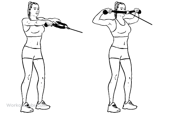 Face Pull / Rear Delt Pull Illustrated Exercise guide WorkoutLabs