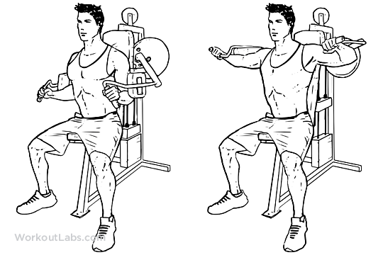 Lateral Raise Machine WorkoutLabs