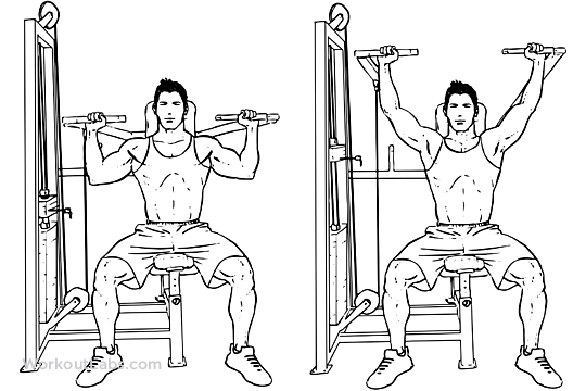 Machine Seated Shoulder Press Illustrated Exercise guide WorkoutLabs