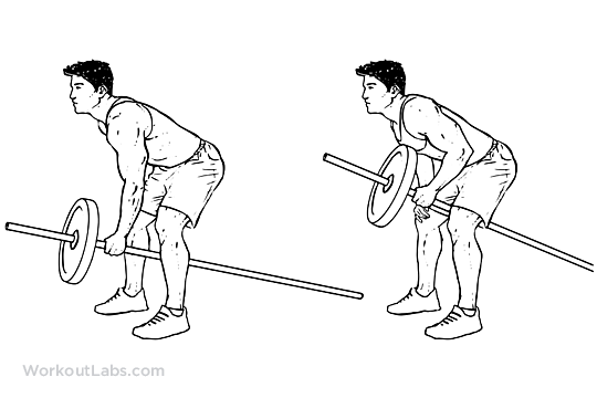 One Arm Barbell Row Illustrated Exercise guide WorkoutLabs