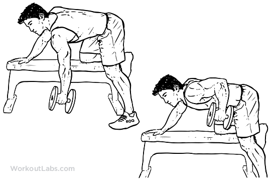OneArm Dumbbell Row Illustrated Exercise guide WorkoutLabs