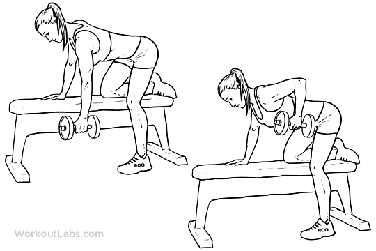 OneArm Dumbbell Row Illustrated Exercise guide WorkoutLabs