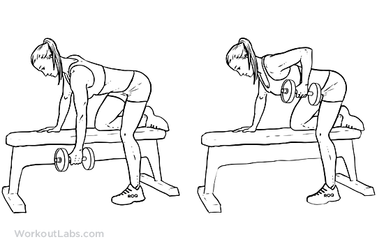 Single / One Arm Dumbbell Bench Rows WorkoutLabs