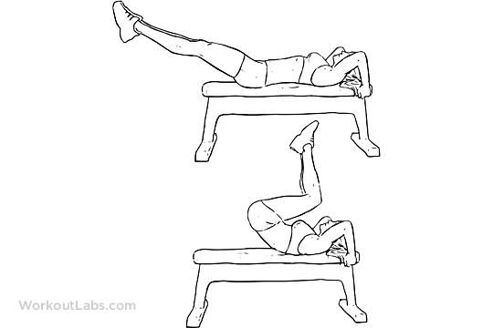 Reverse Bench Crunch Illustrated Exercise guide