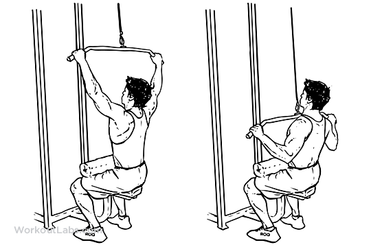 WideGrip Lat Pulldown Illustrated Exercise guide WorkoutLabs