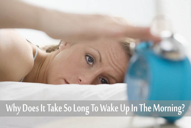 Why Does It Take So Long To Wake Up In The Morning Workout Trends