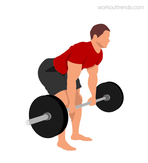 Why I prefer yoga over gym workouts? Workout Trends