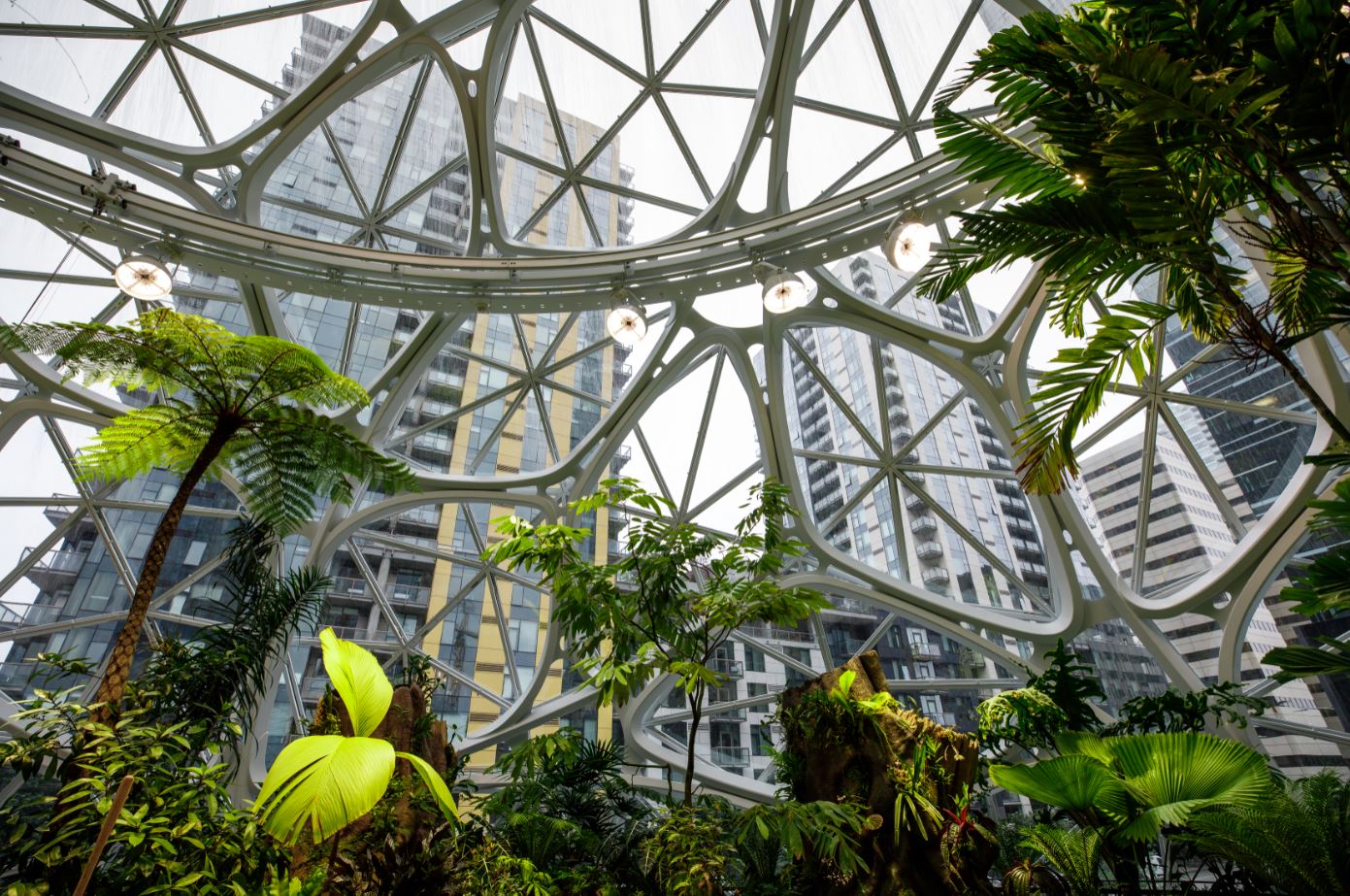 How To Achieve Work Life Balance — Biophilic design has a long history