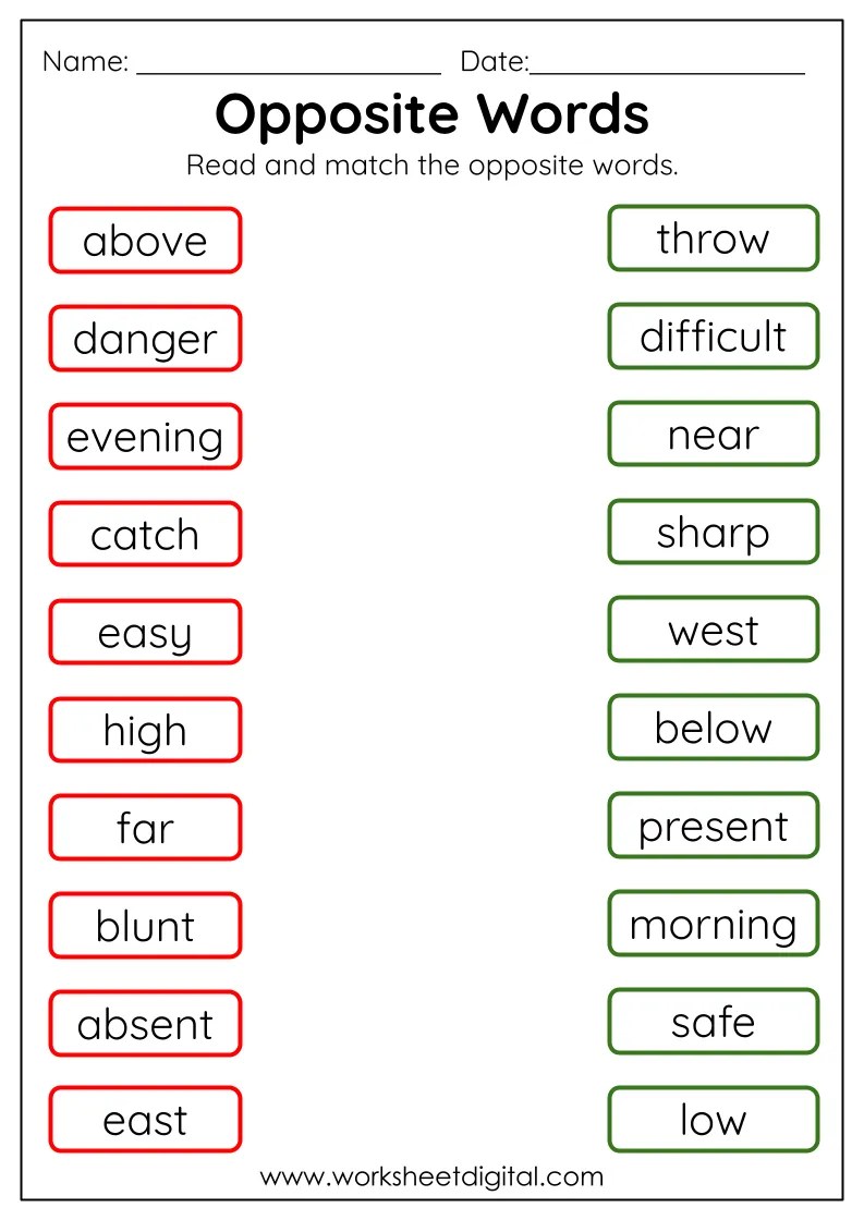 Opposite Words - Worksheet Digital | #1 Teacher-Made Resources