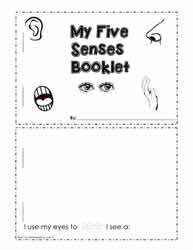 The Five Senses Worksheets